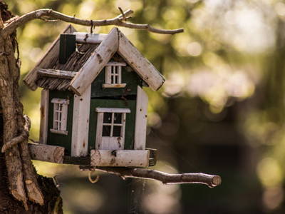 Bild 8 aus  ELBMARSCHEN BAUERNHOF Olde