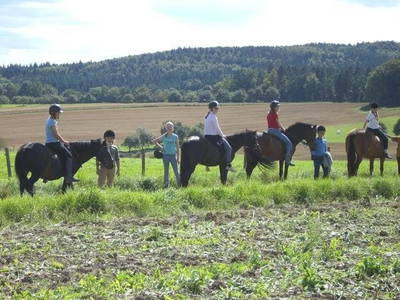 geführter Ausritt durch den Odenwald für die noch nicht so sicheren ReiterInnen