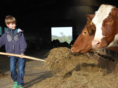 Bild 24 aus  Landgasthaus Hoffmann