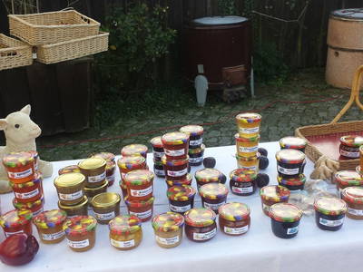 Bild 7 aus  Nutztier-Arche Hof Steindamm