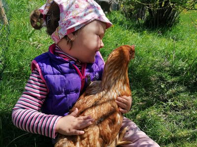 Unserer Hühner freuen sich über Streicheleinheiten