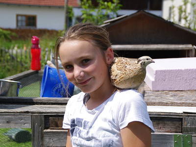 Bild 18 aus  Ferienhof Moosreiten