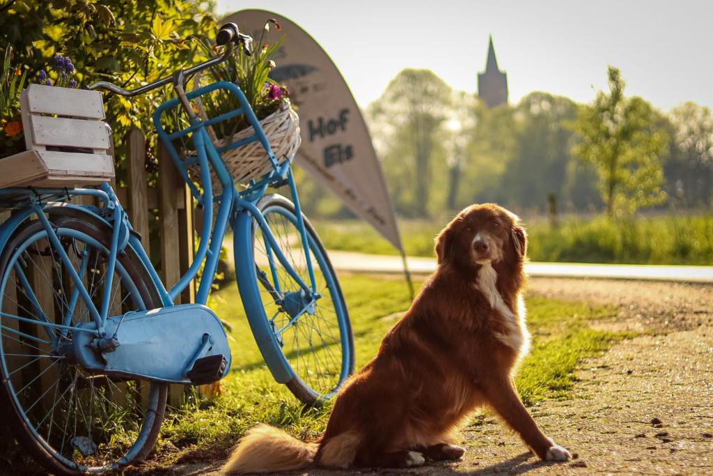Ferienhof Ostarle