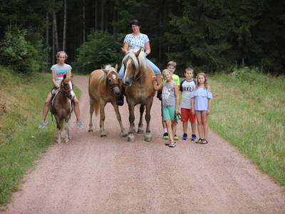 Bild 43 aus  Pension Baarblick