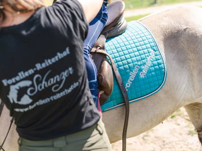 Bild 6 aus  "Forellen - Reiterhof" 5 Sterne Hof direkt am See