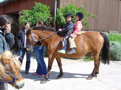 Reiten