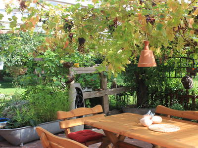 Bild 23 aus  Ferienhof Meetz