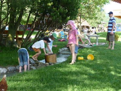 Bild 21 aus  Erharthof - Familie Lautenbacher