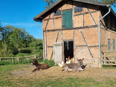 Bild 3 aus  Gut Godderstorf