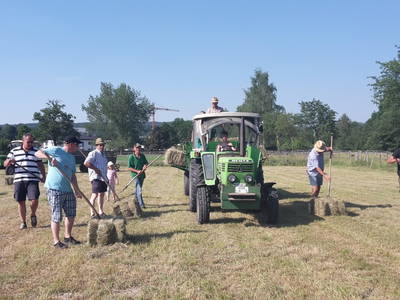 Bild 19 aus  Ferienhof Heute Mühle