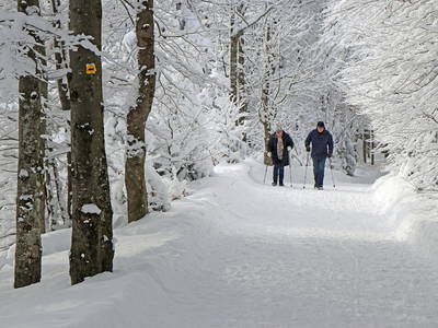 Bild 53 aus  Grashöfle