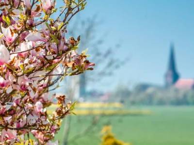 Bild 9 aus  Ferienhof Rudolf Becker Haus Liebevoll