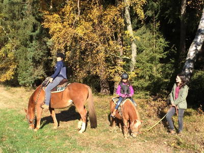 Bild 19 aus  Arabian Harmony