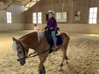 Bild 4 aus  Biohof Pürten