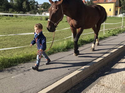 Bild 41 aus  Landkulturhof Glücksbringer