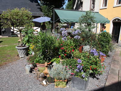 Bild 11 aus  Steinermühle