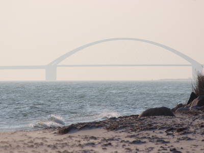 Bild 21 aus  Küselhof und Reiterhof Witt