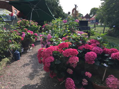 Bild 70 aus  Ostsee Ferienhof Kluvetasch