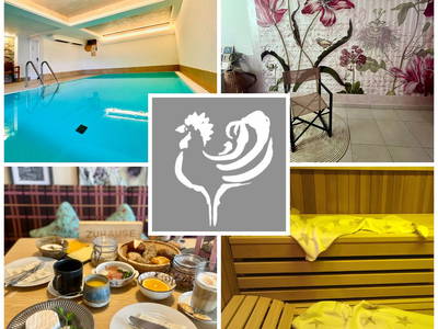 Bild 13 aus  Goldener Hahn - Hyggeliges Aparthotel mit Frühstücksbuffet, Pool & Sauna