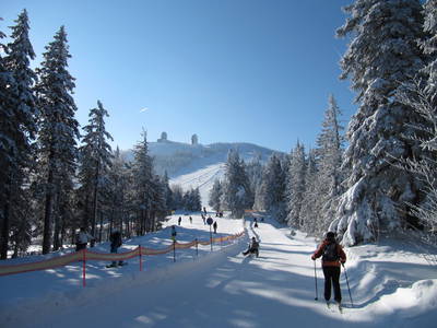 Bild 9 aus  Paulas Bauernhof im Bayerischen Wald