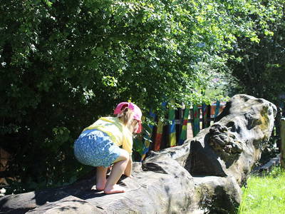 Bild 10 aus  Risthof am Großen Alpsee