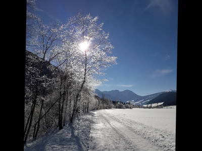 Bild 26 aus  Lechnerhof