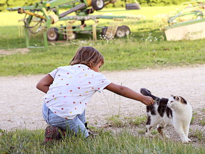 Bild 60 aus  Hollweck's Landoase