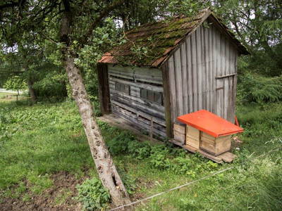 Bild 71 aus  Allgäu Bergferienhof