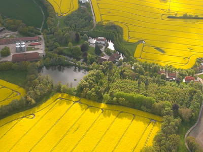 Bild 8 aus  Gut Petersdorf