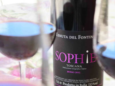 Bild 25 aus  Gutshof  Tenuta del Fontino