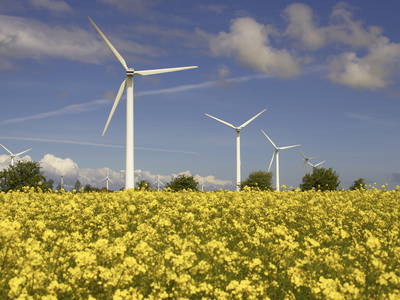 Bild 12 aus  Ferienhof Familie Jörn Höper