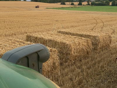 Bild 7 aus  Ferienhof Theede- Urlaub in Ostseenähe