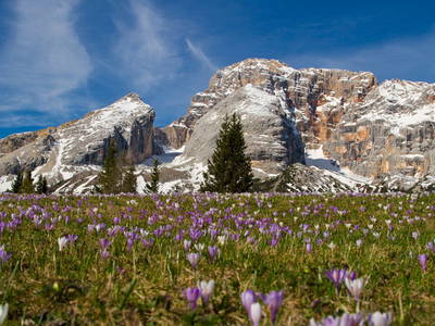 Bild 28 aus  Stoffnerhof