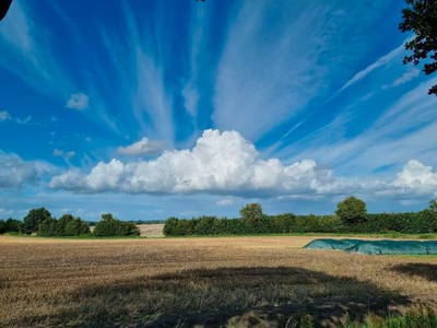 Bild 8 aus  FreiRaum Dargow – Radler willkommen