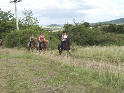 Bild 5 aus  Landhotel-Ferienhof Schneider