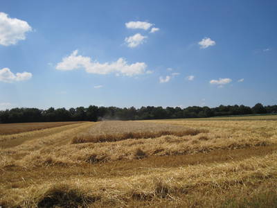 Bild 8 aus  Enkenshof