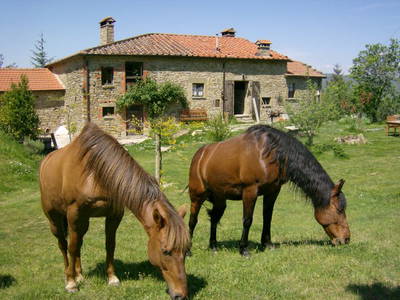 Bild 13 aus  Casa Bivignano