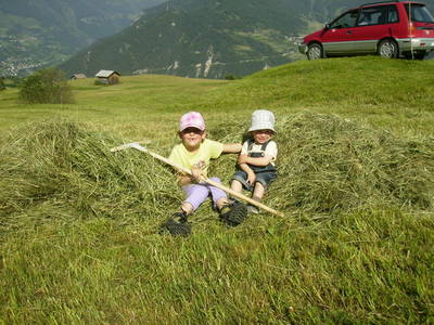 Bild 14 aus  LandSelection Bauernhof Wachter