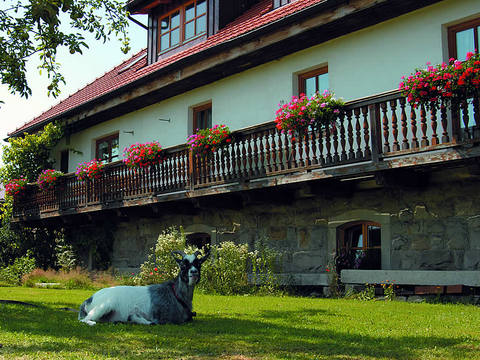Bild 6 aus  natürlich urlauben - Bauernhof Gründinger
