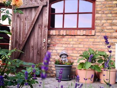 Bild 31 aus  Braunsberger Höfe