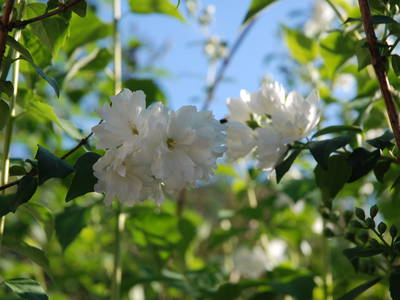 Bild 28 aus  Masererhof - Ferienbauernhof im Chiemgau