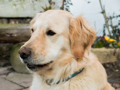 Bild 9 aus  ELBMARSCHEN BAUERNHOF Olde