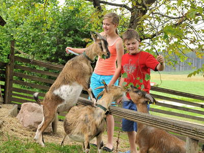 Bild 23 aus  Lohner-Hof