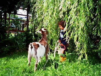 Bild 10 aus  Maison Cheval Blanc