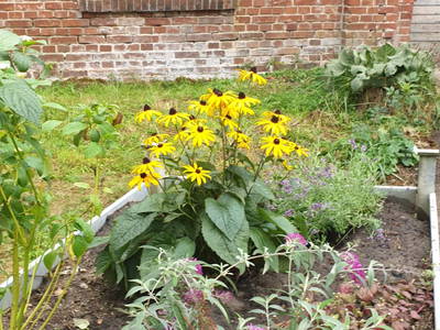 Bild 9 aus  Flussbad an der alten Papierfabrik