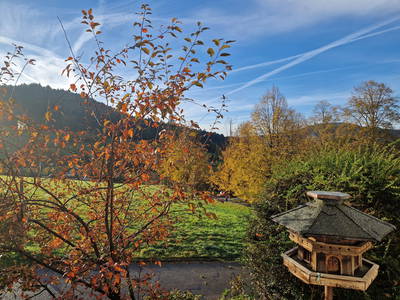 Bild 5 aus  Villa Schwarzwaldblick
