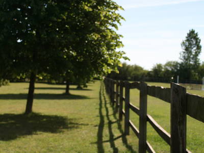 Bild 30 aus  Bernsteinreiter Hirschburg