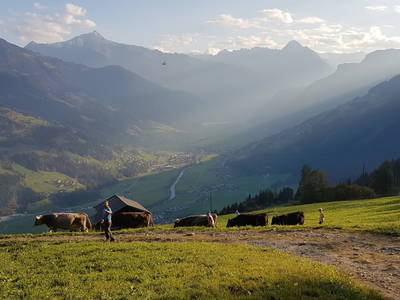 Bild 7 aus  Haus Burbach