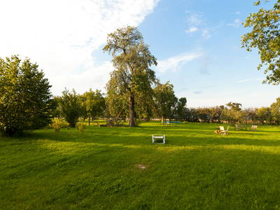 Bild 12 aus  Gutshaus Lexow