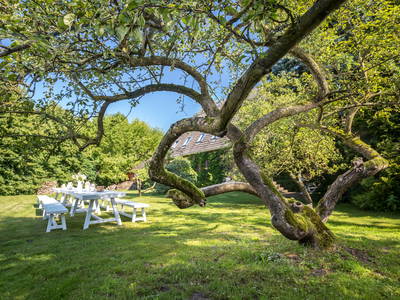 Bild 4 aus  Nordlichter